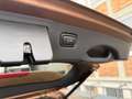 Kia Sorento Platinum Edition 4WD 7-Seats Pano Braun - thumbnail 14
