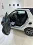 smart forTwo 70 1.0 twinamic cabrio Passion Grigio - thumbnail 5