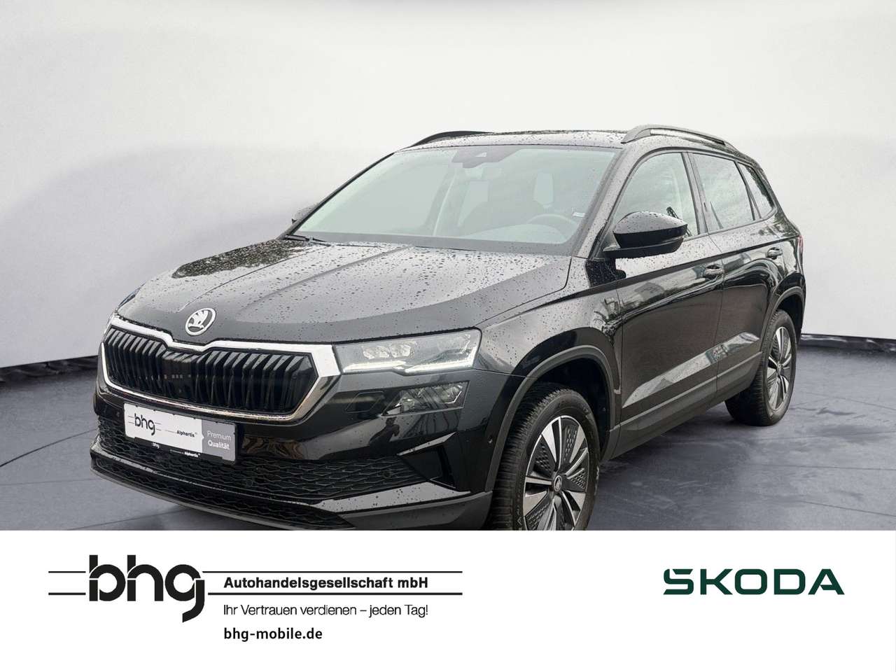 Skoda Karoq 2025