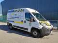 Fiat Ducato L2H2 Kamera NAVI Klima € 20.500 NETTO Weiß - thumbnail 1