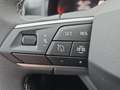 SEAT Ibiza 40th Anniversary Edition 1.0 TSI 115ch DSG Gris - thumbnail 22
