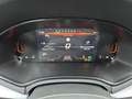SEAT Ibiza 40th Anniversary Edition 1.0 TSI 115ch DSG Gris - thumbnail 15