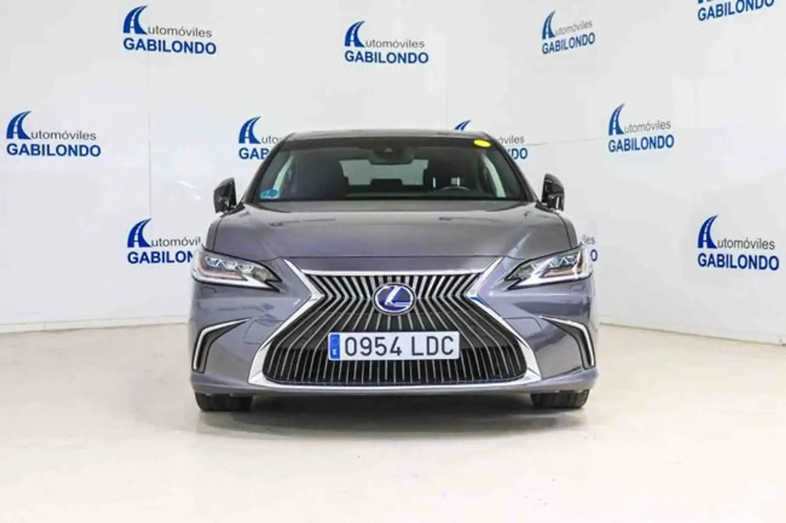 Lexus ES 300 300h Executive Gris - 2