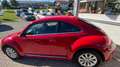 Volkswagen Beetle The Beetle Cabriolet 1.2 TSI BlueMotion Cup Rot - thumbnail 3