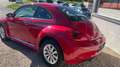 Volkswagen Beetle The Beetle Cabriolet 1.2 TSI BlueMotion Cup Rot - thumbnail 9