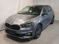 Skoda Fabia Selection TSI/Style/AHV Grau - thumbnail 1