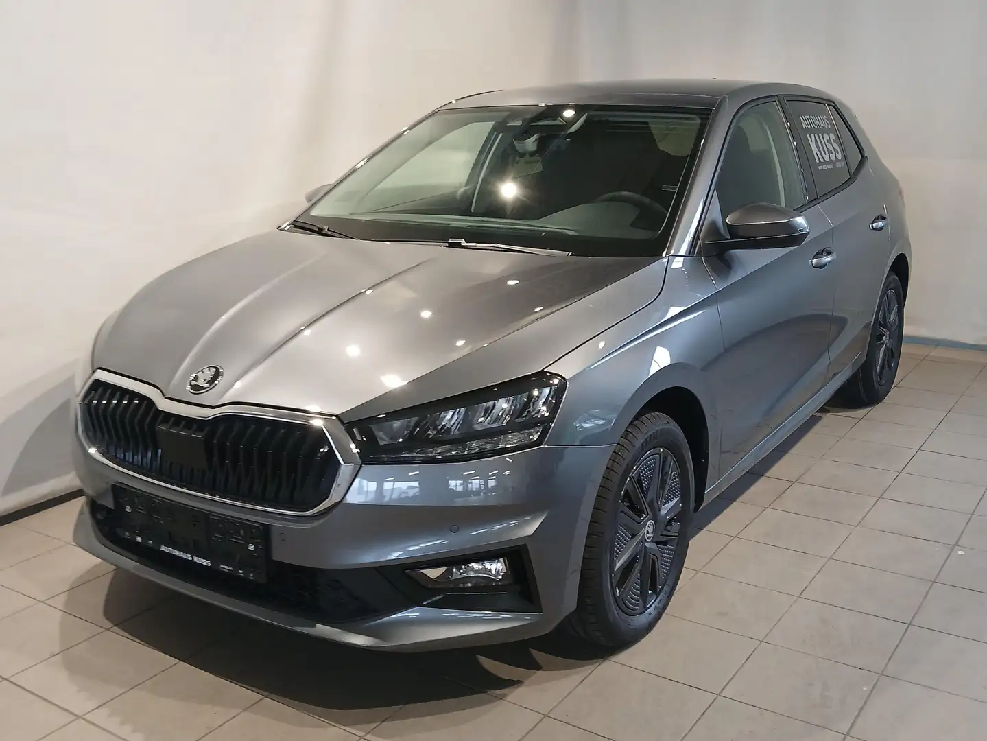Skoda Fabia Selection TSI/Style/AHV Grau - 1