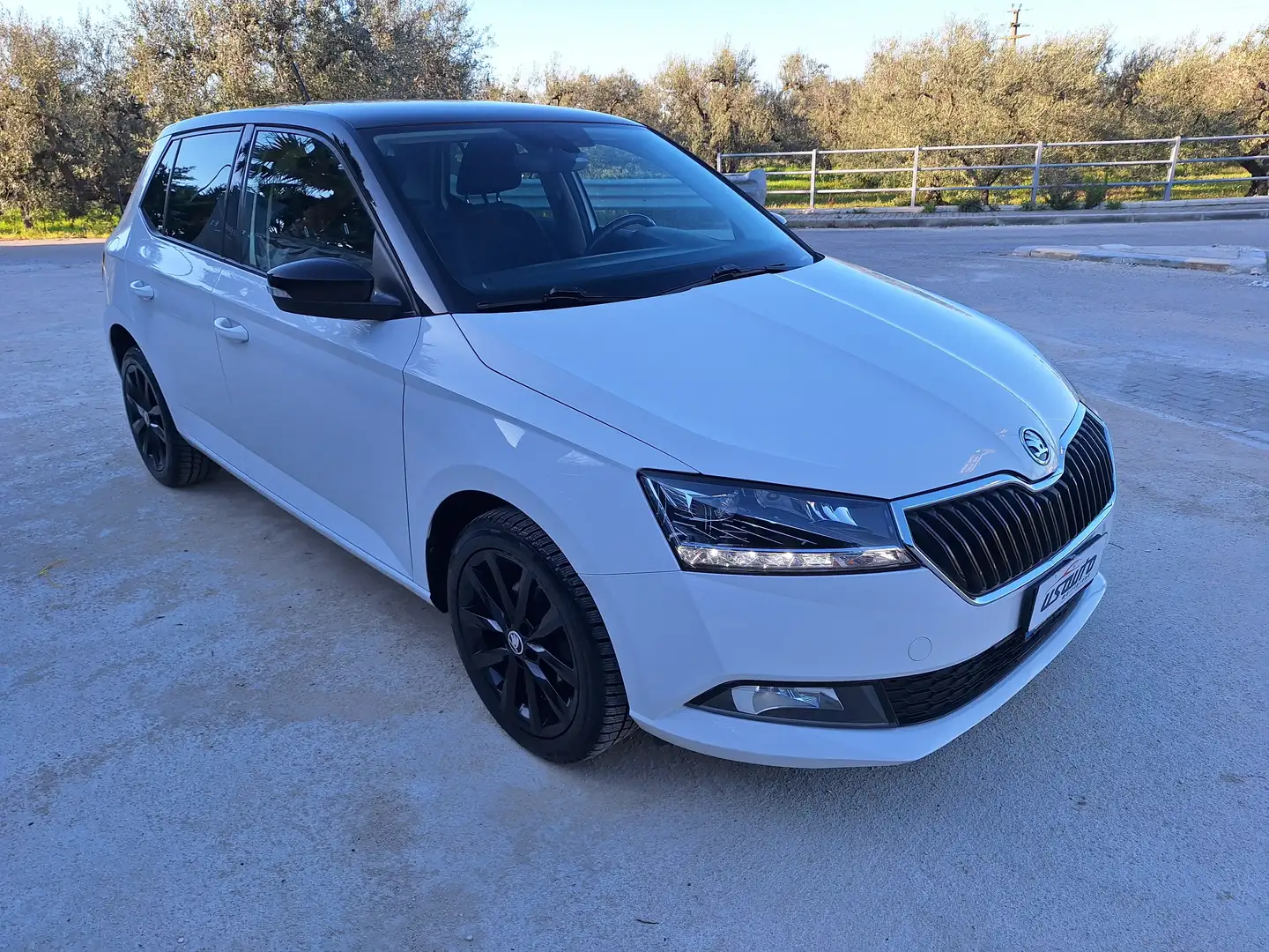 Skoda Fabia 1.0 tsi Twin Color 95cv CARPLAY Bianco - 2
