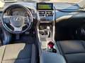 Lexus NX 300 Hybrid 2.5 Executive 4wd cvt Grigio - thumbnail 6