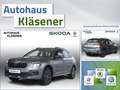 Skoda Kamiq Drive 1.5 TSI 110 KW DSG MATRIX RKAM PDC VC Grau - thumbnail 1