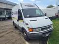 Iveco Daily 50 C 15 furgone -meccanica in ordine tt Tagliandi Grigio - thumbnail 2