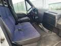 Iveco Daily 50 C 15 furgone -meccanica in ordine tt Tagliandi Grigio - thumbnail 8