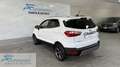Ford EcoSport 1.0 EcoBoost 125 CV Start&Stop ST-Line UNICO PROP Blanc - thumbnail 6