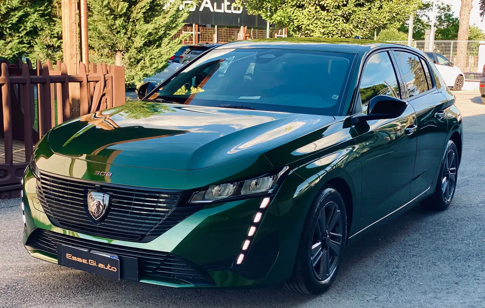 Peugeot 308 Allure Pack **POSS.PACK MEDIA** VED.NOTE Verde - 1