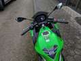 Kawasaki Ninja 650 Sport Gar 209 Grün - thumbnail 10