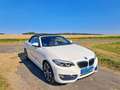 BMW 230 230i Cabrio Aut. Luxury Line Weiß - thumbnail 2