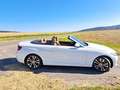 BMW 230 230i Cabrio Aut. Luxury Line Weiß - thumbnail 7