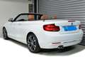 BMW 230 230i Cabrio Aut. Luxury Line Weiß - thumbnail 28