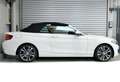 BMW 230 230i Cabrio Aut. Luxury Line Weiß - thumbnail 23