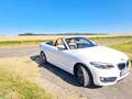 BMW 230 230i Cabrio Aut. Luxury Line Weiß - thumbnail 6