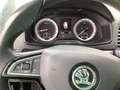 Skoda Karoq Skoda Karoq Ambition 1.6 TDI DSG Navi VR Cockpit Weiß - thumbnail 9
