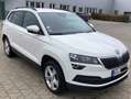 Skoda Karoq Skoda Karoq Ambition 1.6 TDI DSG Navi VR Cockpit Weiß - thumbnail 2