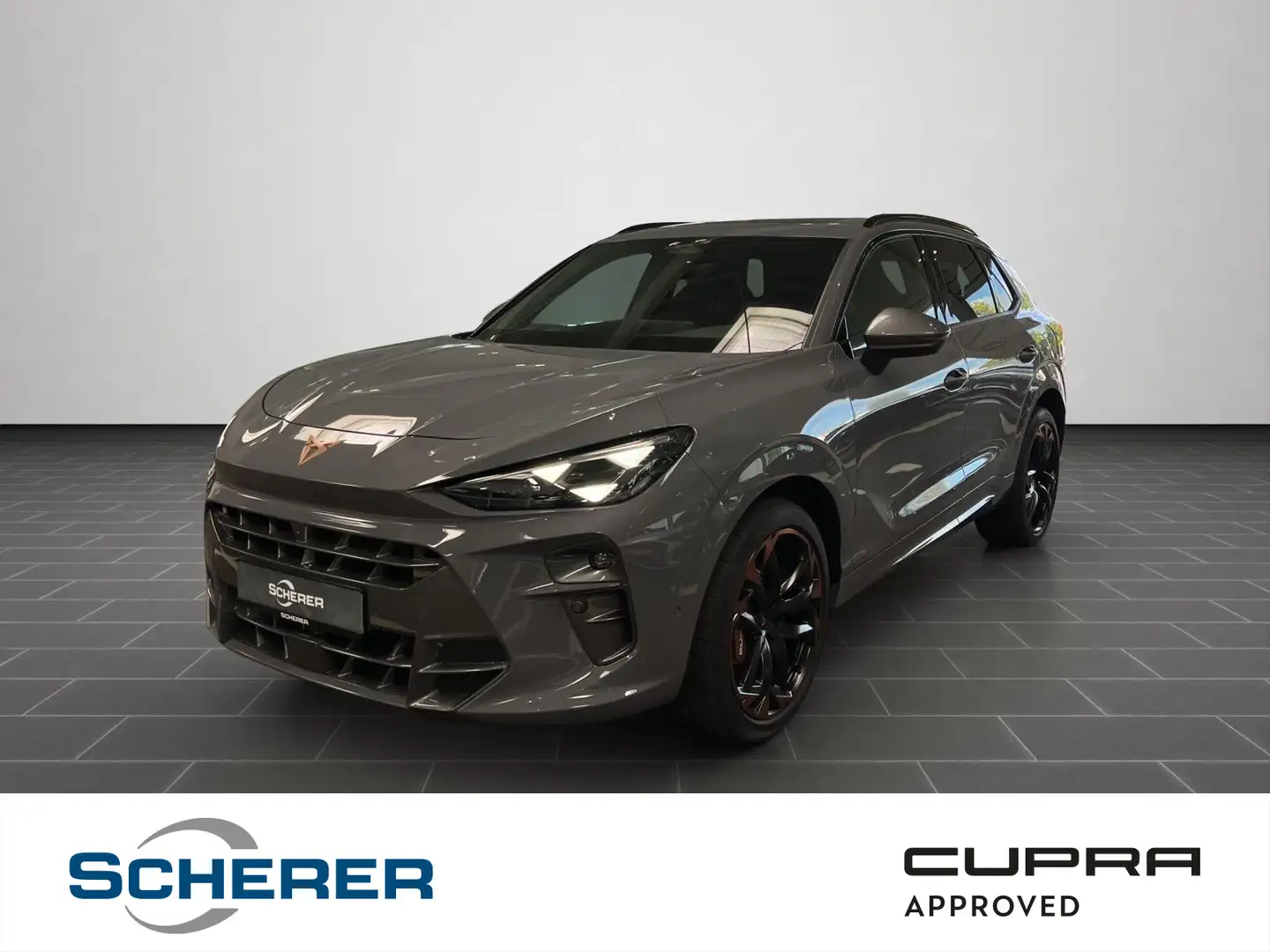 CUPRA Terramar VZ 2.0 TSI DSG 360-Grad Kamera Head-up- Grau - 1