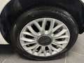 Fiat 500 500 1.2 GPL 69CV NEOPATENTATI LOUNGE UNIPRO Blanc - thumbnail 18