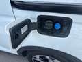 Ford Grand Tourneo Connect Active 2,0L Eblue 122PS M AWD Weiß - thumbnail 17