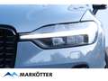 Volvo XC60 T8 Recharge AWD R-Design STHZ/CAM/ACC/BLIS Grau - thumbnail 19