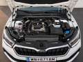 Skoda Kamiq Kamiq 1,0 TSI SC SC Weiß - thumbnail 12