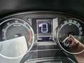 Skoda Fabia Fabia Style 1,0 TSI Style Weiß - thumbnail 9