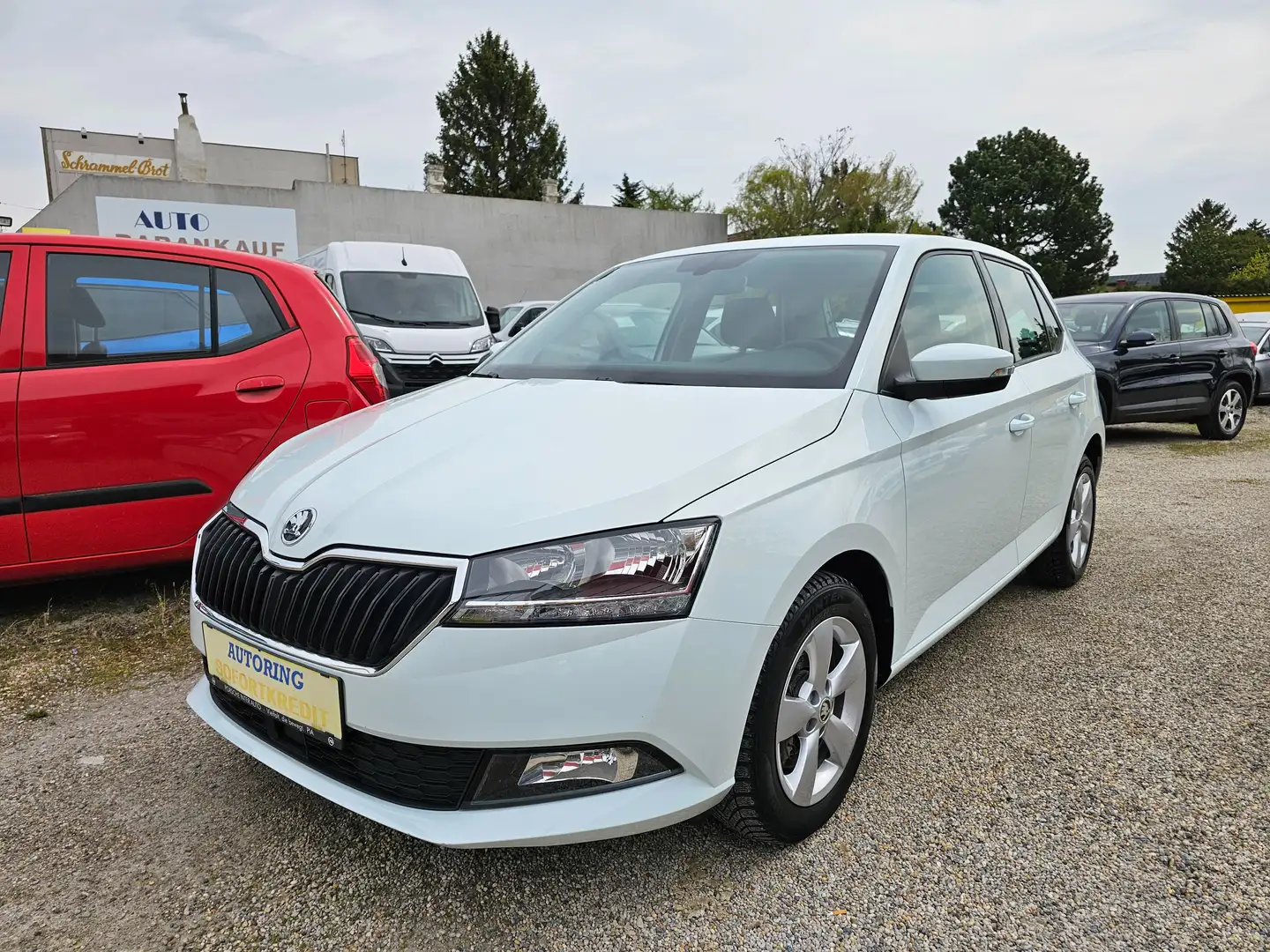 Skoda Fabia Fabia Style 1,0 TSI Style Weiß - 1