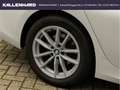 BMW 320 d Mild-Hybrid-AHK-Sportsitze-Bluetoth Weiß - thumbnail 12