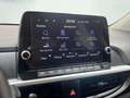 Kia Picanto Drive 57 kW (79Cv) Verde - thumbnail 15