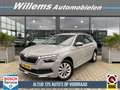 Skoda Kamiq 1.0 TSI Business Edition Trekhaak, Stoelverwarming Gris - thumbnail 1