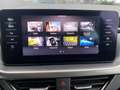 Skoda Kamiq 1.0 TSI Business Edition Trekhaak, Stoelverwarming Gris - thumbnail 25