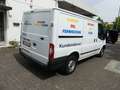 Ford Transit Kasten FT 260 K LKW Blanc - thumbnail 5