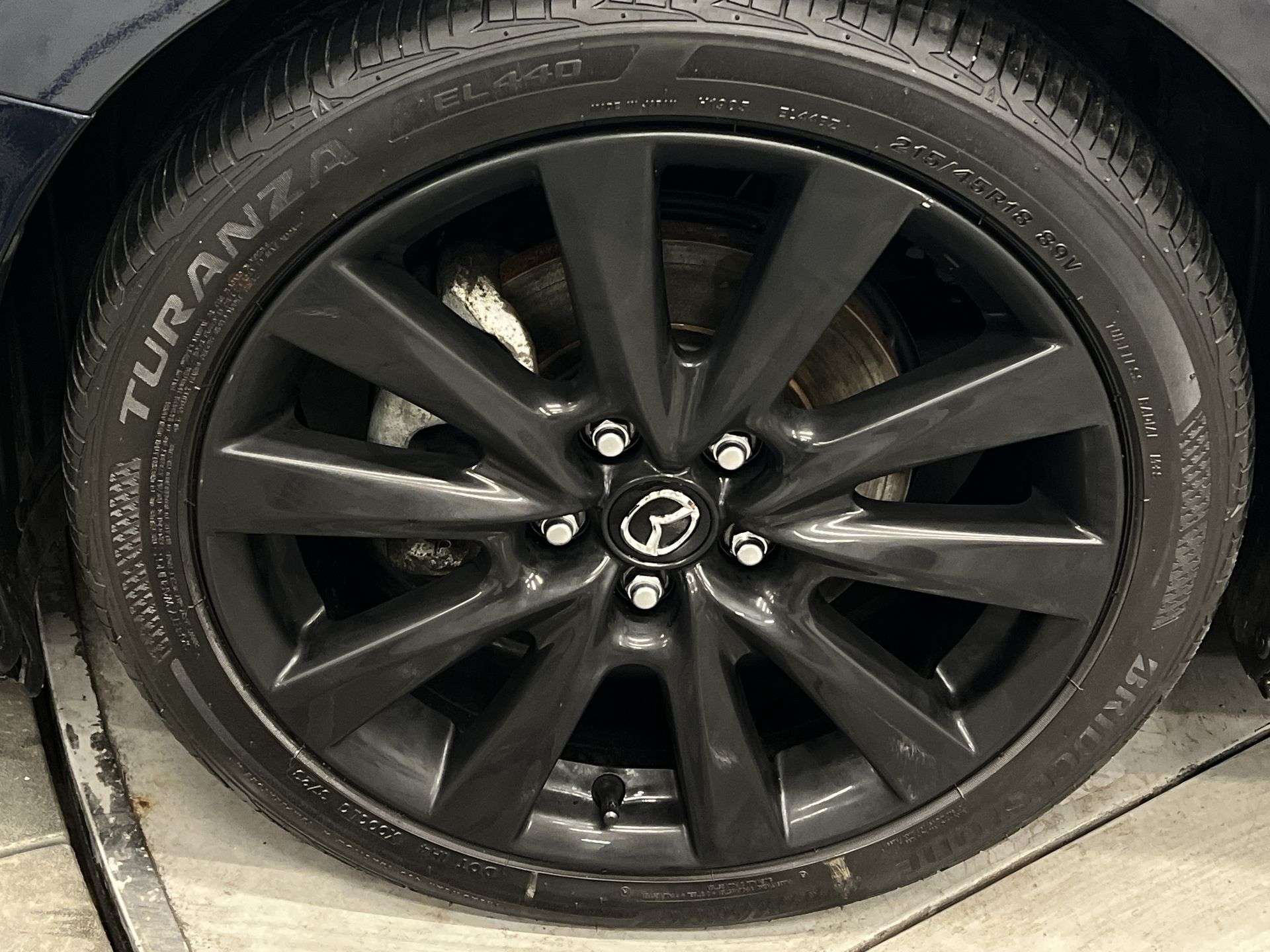 Image 15