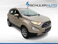 Ford EcoSport 1,0 EcoBoost Titanium 125PS Beige - thumbnail 3