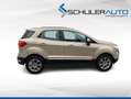 Ford EcoSport 1,0 EcoBoost Titanium 125PS Beige - thumbnail 2