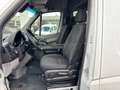 Mercedes-Benz Sprinter 316 CDI,Kaste,L2H2,AHK 3,5T,Standhei.Net 16500€ Blanc - thumbnail 14