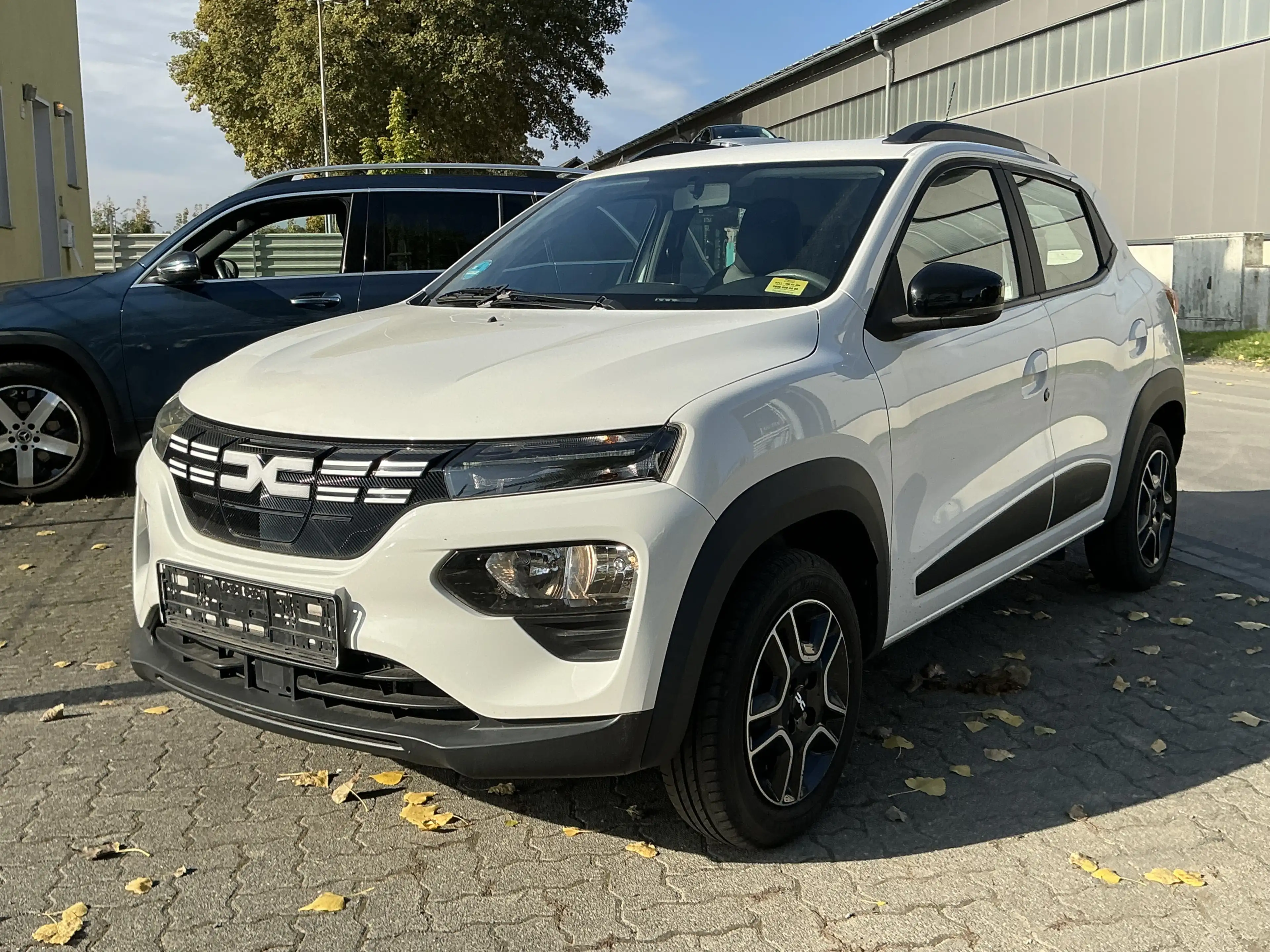 Dacia Spring Essential Teil-Leder R.Cam Navi LED PDC