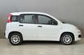 Fiat Panda FIAT Panda 1.3 MJT 95 CV S&S Easy Blanc - thumbnail 5