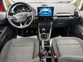 Ford EcoSport Trend Navi Kamera Rot - thumbnail 9