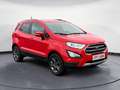 Ford EcoSport Trend Navi Kamera Rot - thumbnail 2