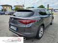 Alfa Romeo Stelvio 2.2 Turbodiesel 210 CV AT8 Q4 Executive/Leggi bene Grijs - thumbnail 6