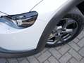 Mazda MX-30 e-SkyActiv 145 First Edition 36 kWh | Achteruitrij Blanc - thumbnail 3