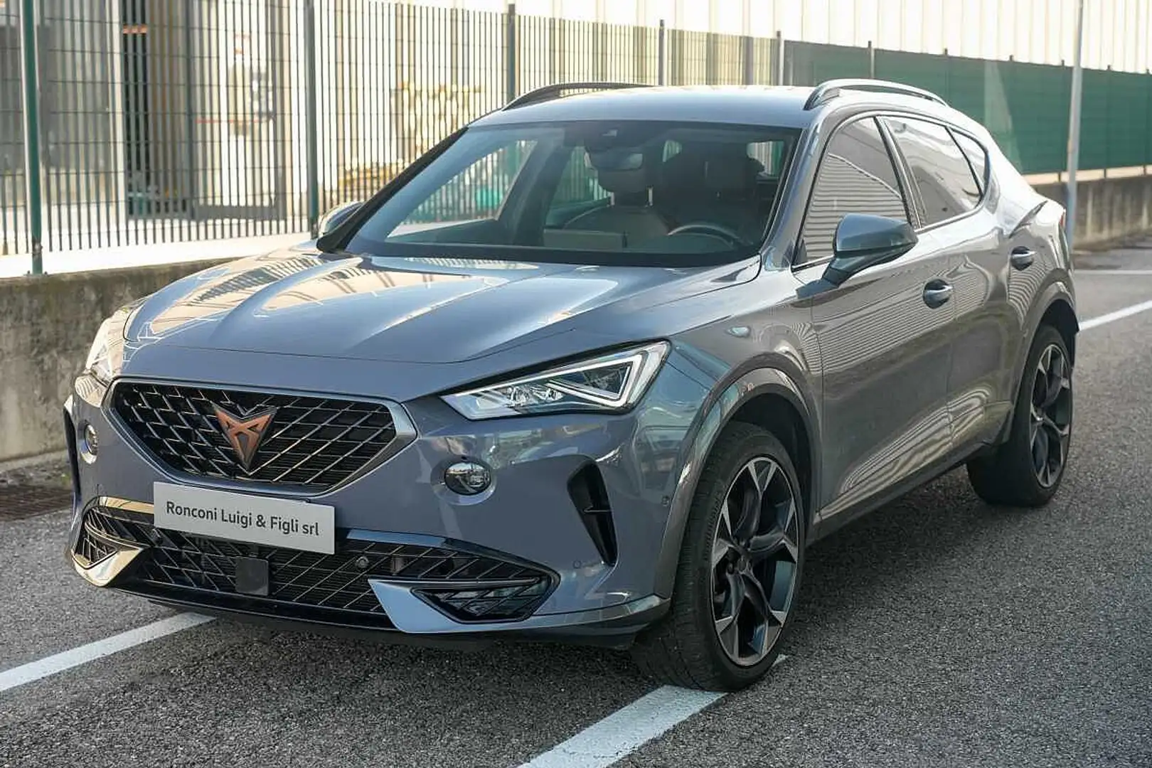 CUPRA Formentor 2.0 TDI 4Drive DSG Grigio - 1