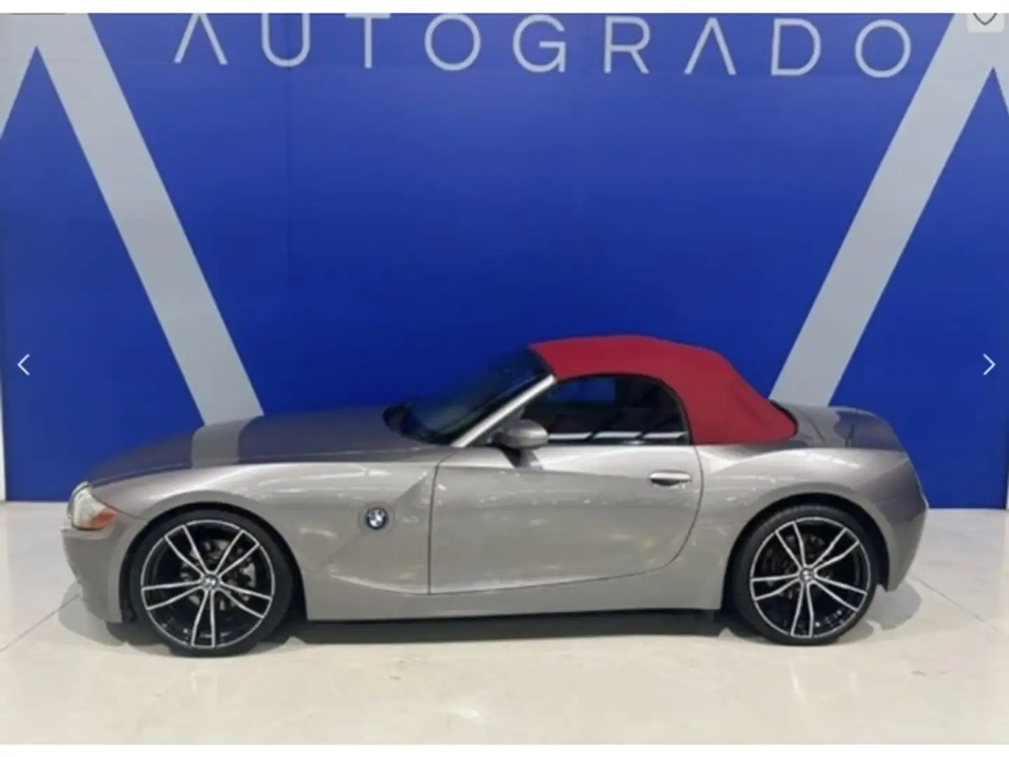 BMW Z4 3.0i Gris - 1